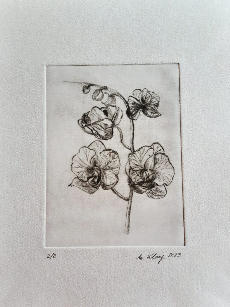 Orchidee, Radierung
